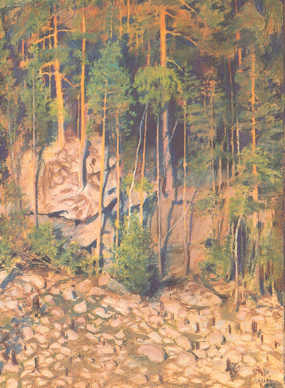 Metsän kohtu kuva