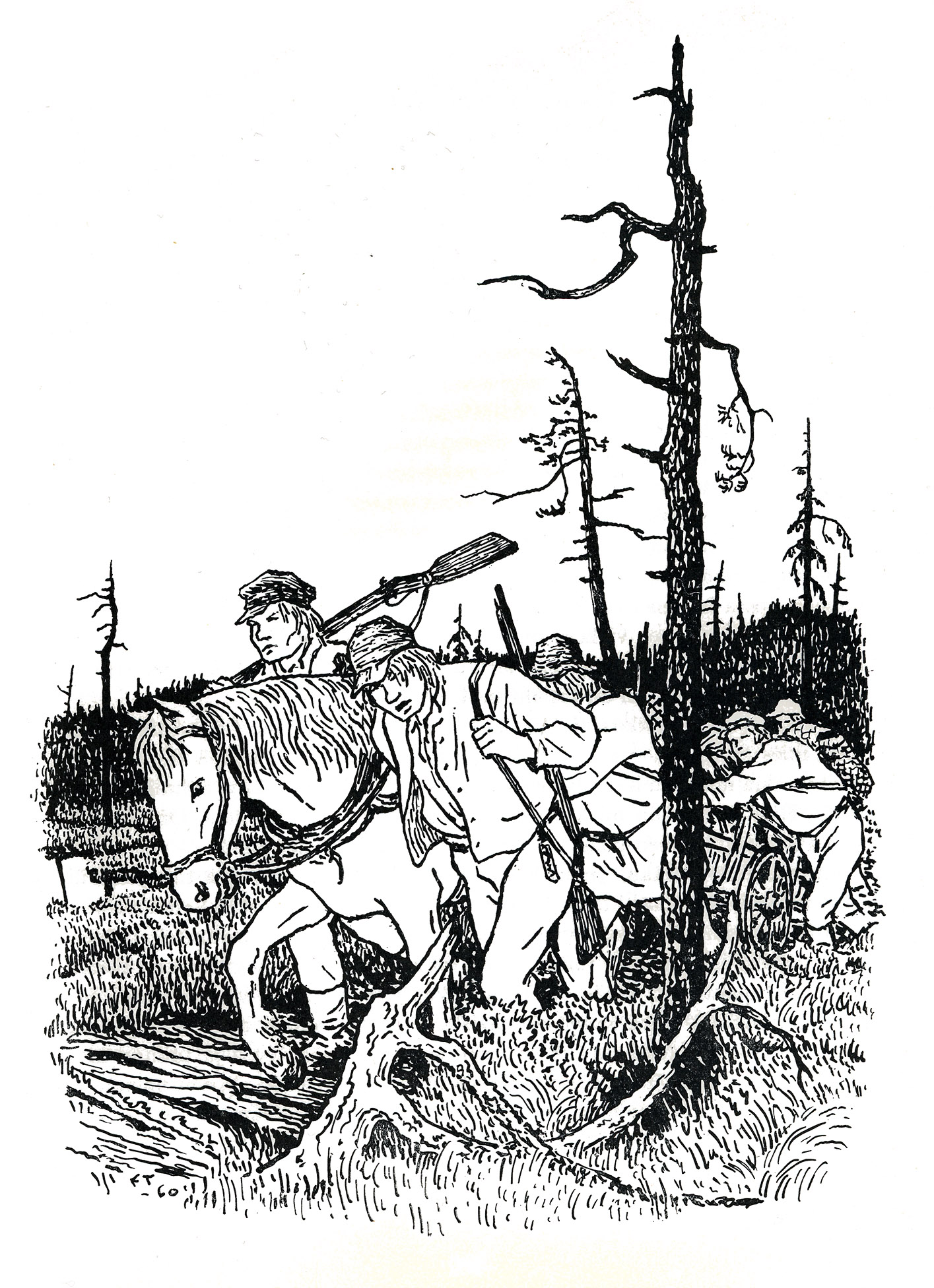 Valko-hevonen kuva